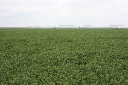 Property photo 87 - LAND AUCTION, 3255+/- Acres offered in 13 Tracts